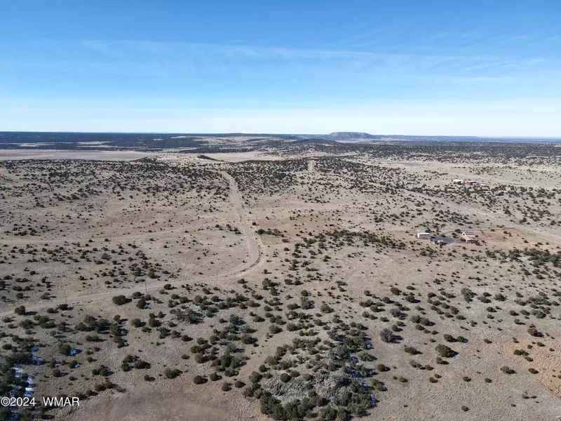 Lot 206 Windsor Valley Ranch, Concho, AZ 85924