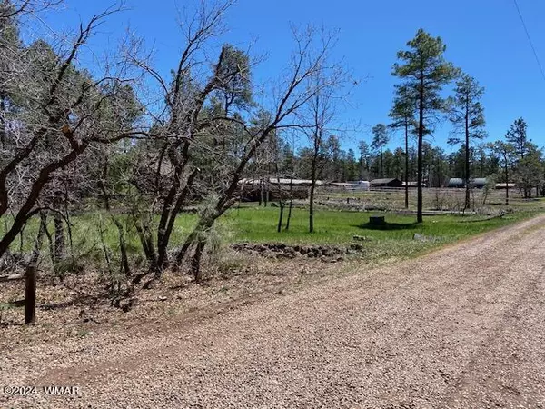 Pinetop, AZ 85935,5273 Buck Springs Road