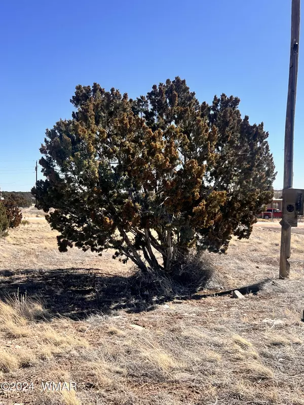 Concho, AZ 85924,115 Crest ln ( CR 5052 ) LN