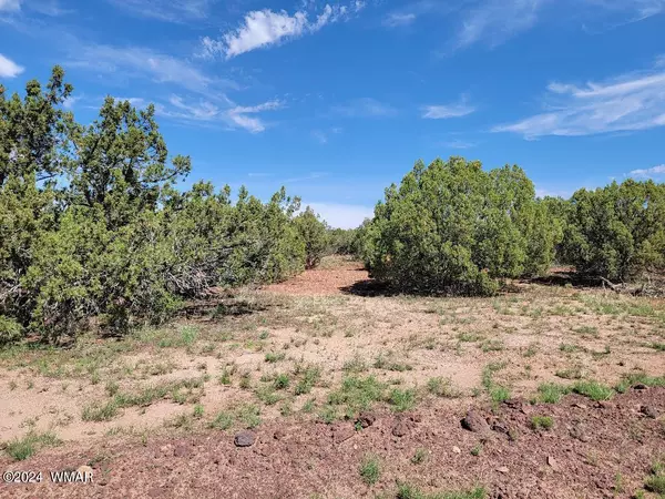 Concho, AZ 85924,TBD CR 8281