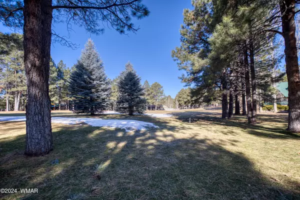 Pinetop, AZ 85935,3270 Viking TRL