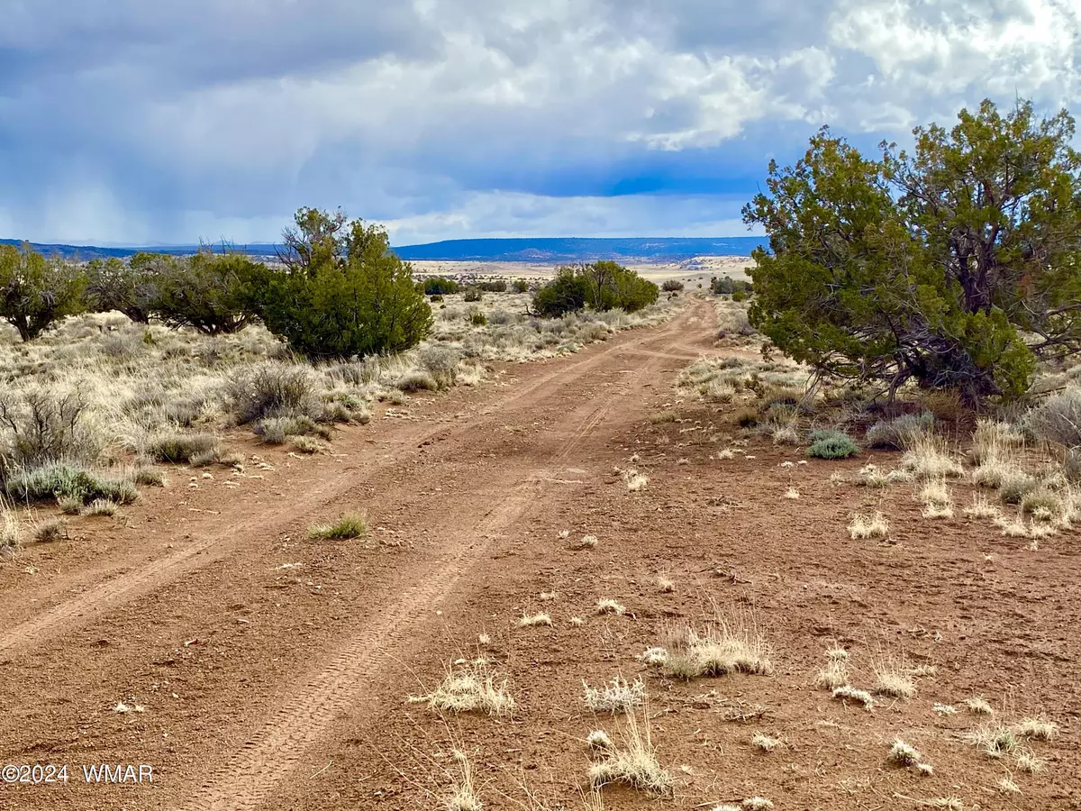 Concho, AZ 85924,0 N5364 40.52 Acres