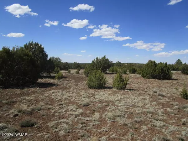 22 Charlene DR, Concho, AZ 85924