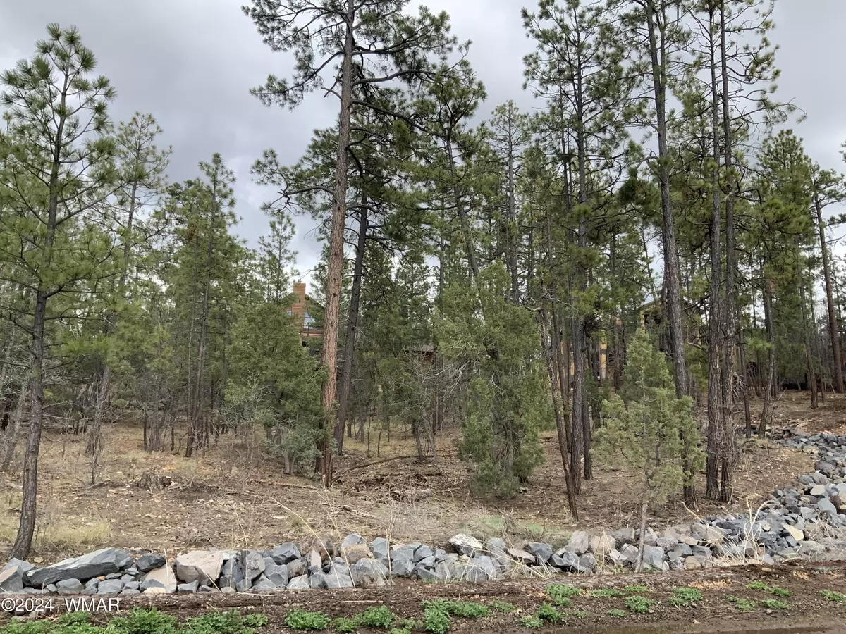 Pinetop, AZ 85935,tbd Pine Wood LN