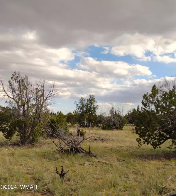 Lot 94A Witch Well Ranches,  St. Johns,  AZ 85936