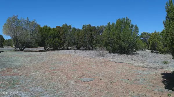 Concho, AZ 85924,TBD 1 Concho Valley