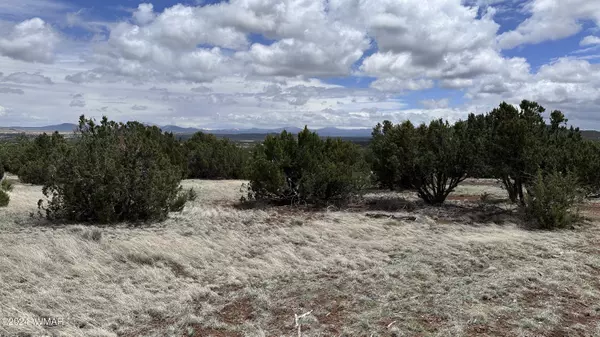 Concho, AZ 85924,55 County Road 8025