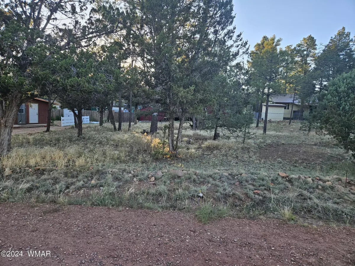 Overgaard, AZ 85933,3332 Forest DR