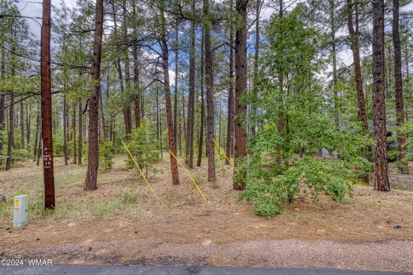 Pinetop, AZ 85935,3188 Aspen LOOP