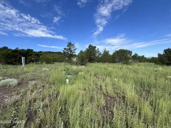 Eagar, AZ 85925,Lot 35 Lion Way