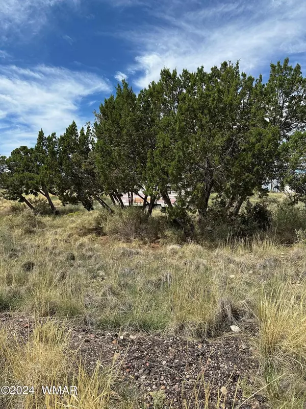 Concho, AZ 85924,59 Frontage RD