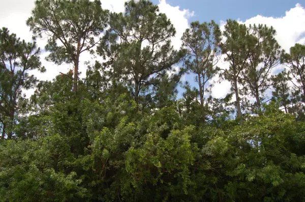 Loxahatchee, FL 33470,18310 N 93rd RD