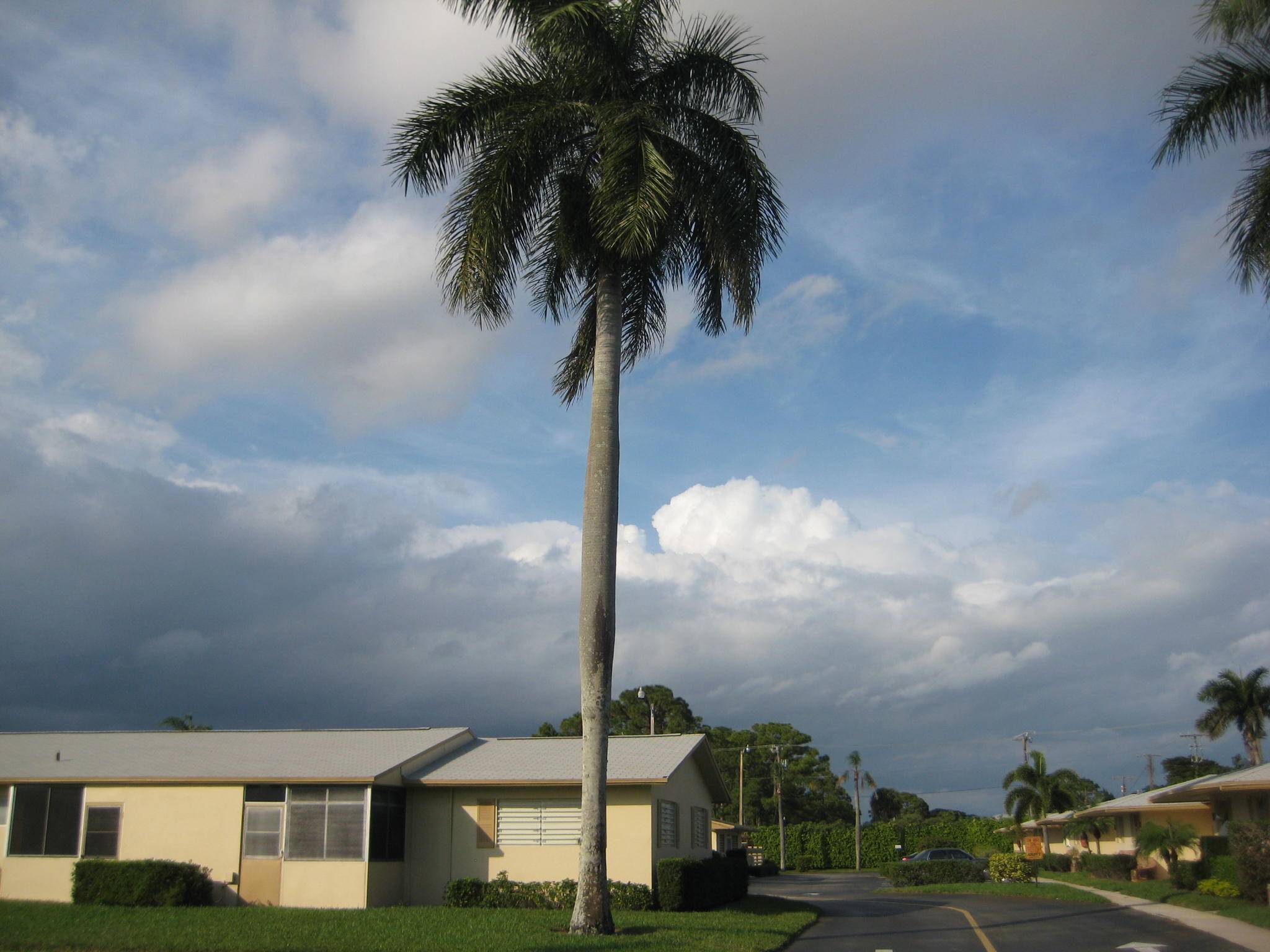 2521 W Barkley Drive A, West Palm Beach, FL 33415
