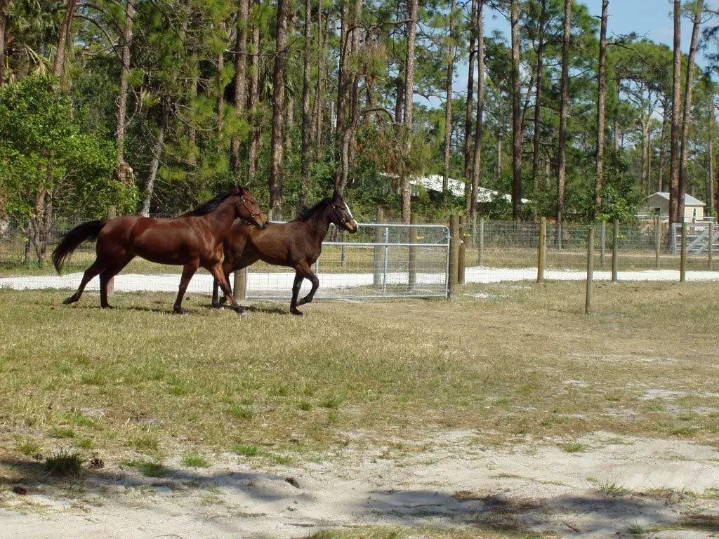 Loxahatchee, FL 33470,14141 N 35th PL