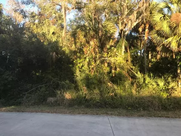 Fort Pierce, FL 34982,Tbd E Wilderness Drive