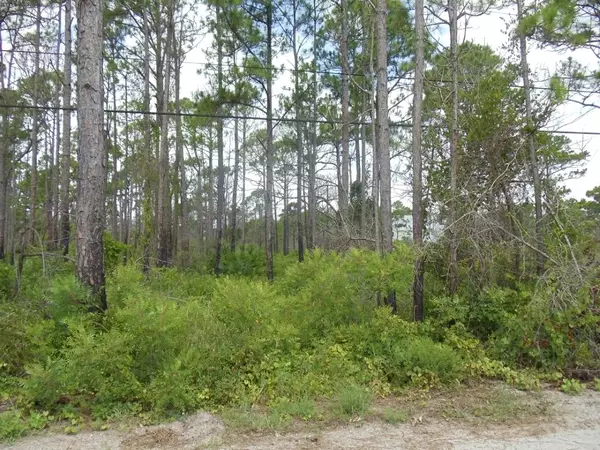 Fort Pierce, FL 34951,Tbd Tree Top TRL