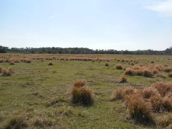 Okeechobee, FL 34974,25752 SW Hannahs PATH