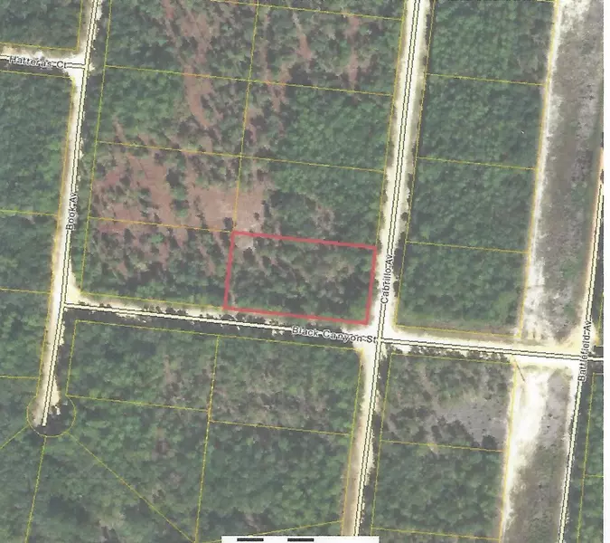 000 Black Canyon ST, Alford, FL 32420