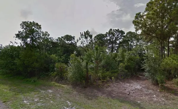 Port Saint Lucie, FL 34984,344 SW Chandler TER