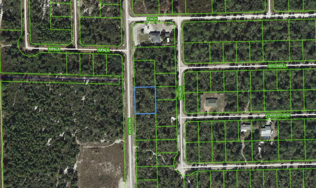 1017 Western BLVD, Lake Placid, FL 33852