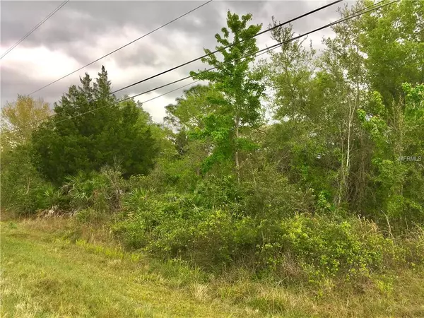 19116 Quinella ST, Orlando, FL 32833