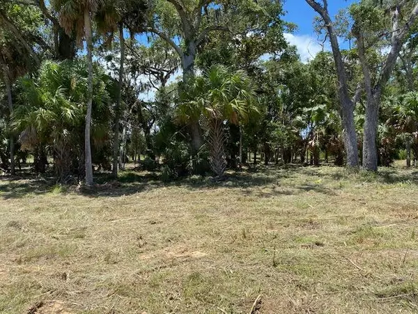 Palm Coast, FL 32137,222 S Seaside Landings DR