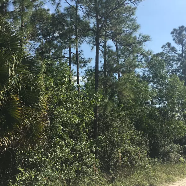Loxahatchee Groves, FL 33470,Lot  41 N 161st TER