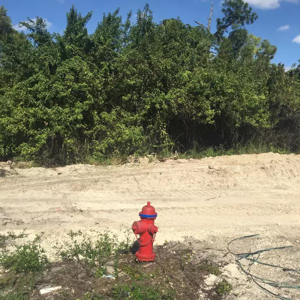 Loxahatchee Groves, FL 33470,Lot  41 N 161st TER