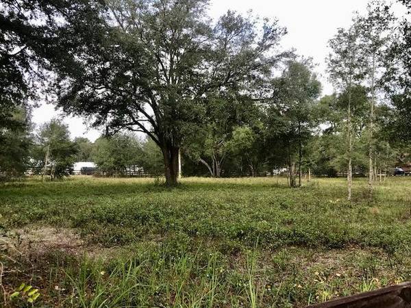 1820 E Kicklighter RD, Lake Helen, FL 32744
