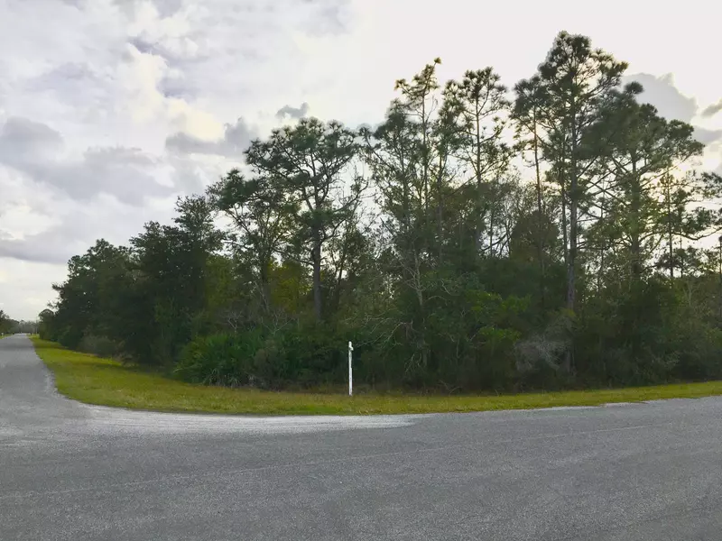 Lot 53 Reynolds Pkwy, Orlando, FL 32833