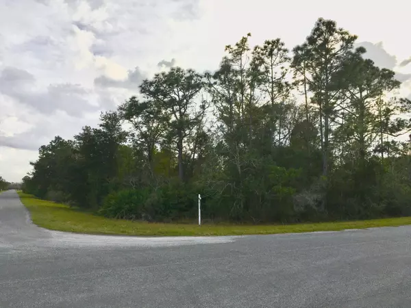 Lot 53 Reynolds Pkwy, Orlando, FL 32833