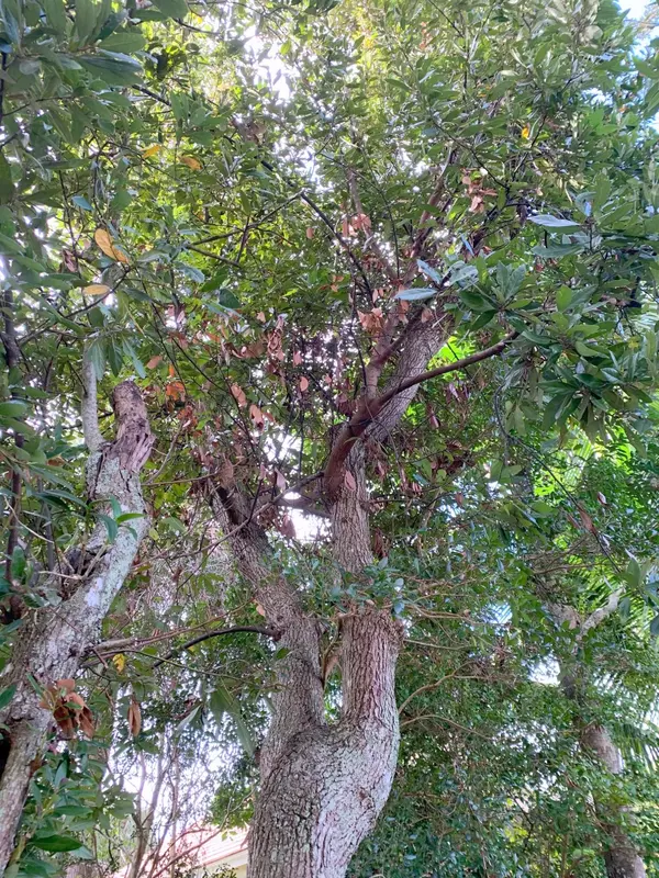 Jupiter, FL 33458,812 Summerwood DR