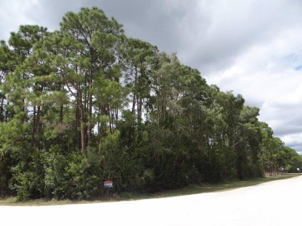 Lot Ag-278 Apache BLVD, Loxahatchee, FL 33470