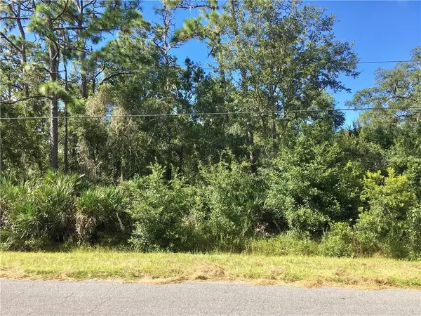 18805 Starry ST, Orlando, FL 32833