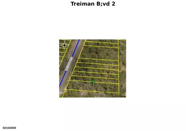 Webster, FL 33597,Tbd Treiman BLVD