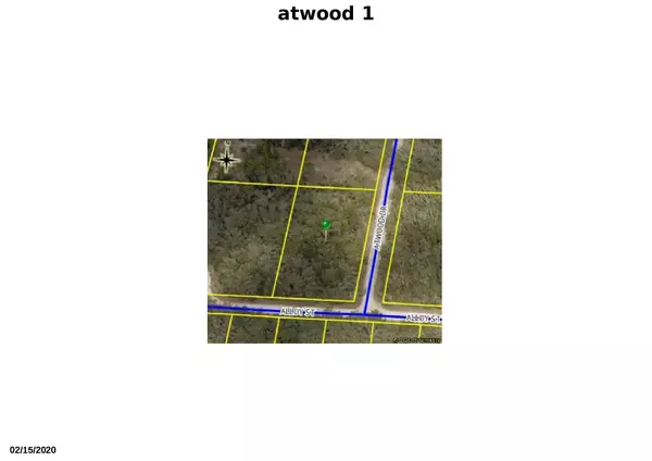 Tbd Atwood DR, Webster, FL 33597