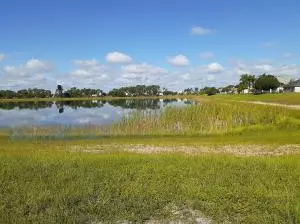 Port Saint Lucie, FL 34953,2334 SW Alminar ST