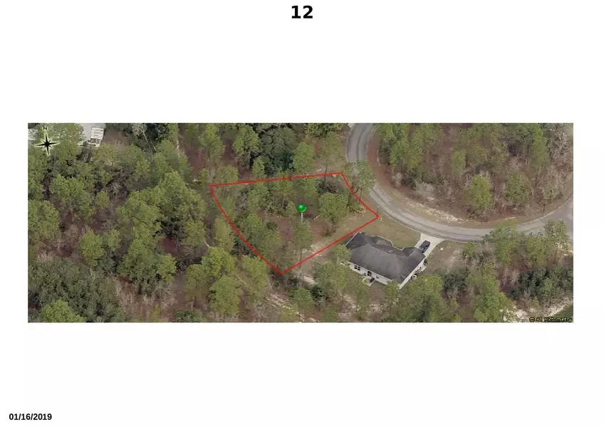 12 W Mayten CT, Homosassa, FL 34446