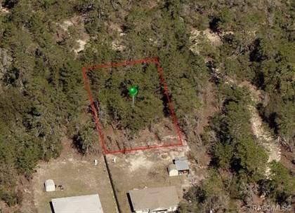 2914 W Jackson ST, Inverness, FL 34453