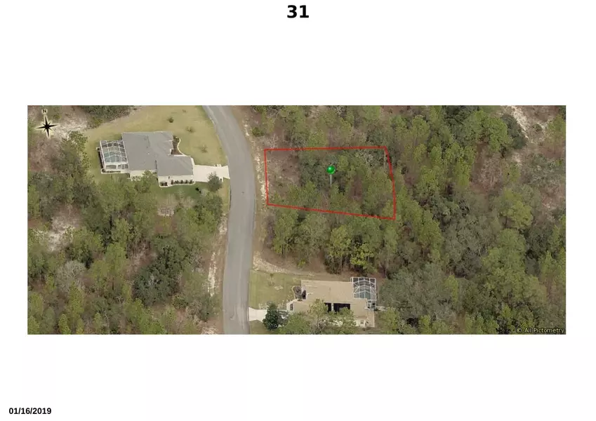 31 Hackberry DR, Homosassa, FL 34446