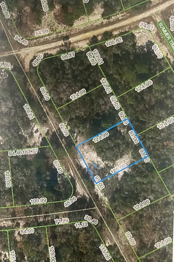 Lake Placid, FL 33852,295 Blue Horizon DR