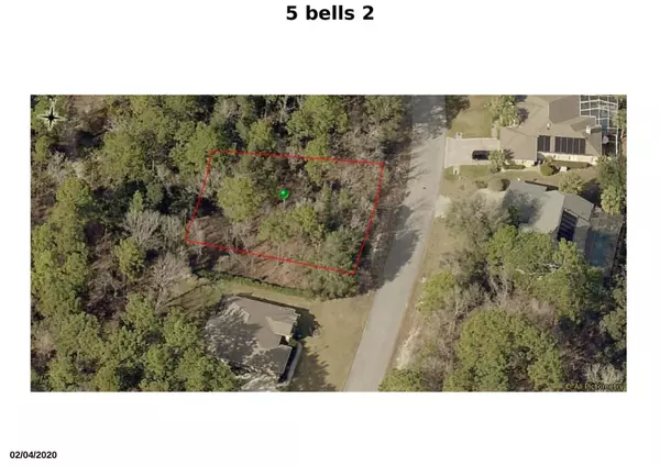 Homosassa, FL 34446,5 Bells Of Ireland CT