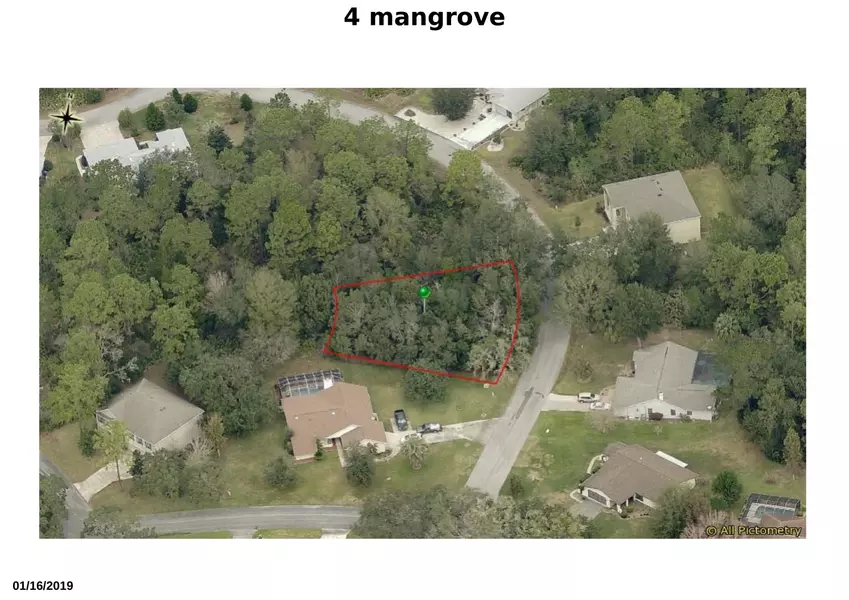 4 N Mangrove CT, Homosassa, FL 34446