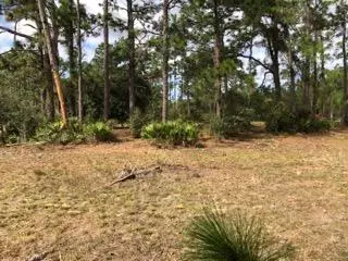 Indian Lake Estates, FL 33855,823 Pandora DR