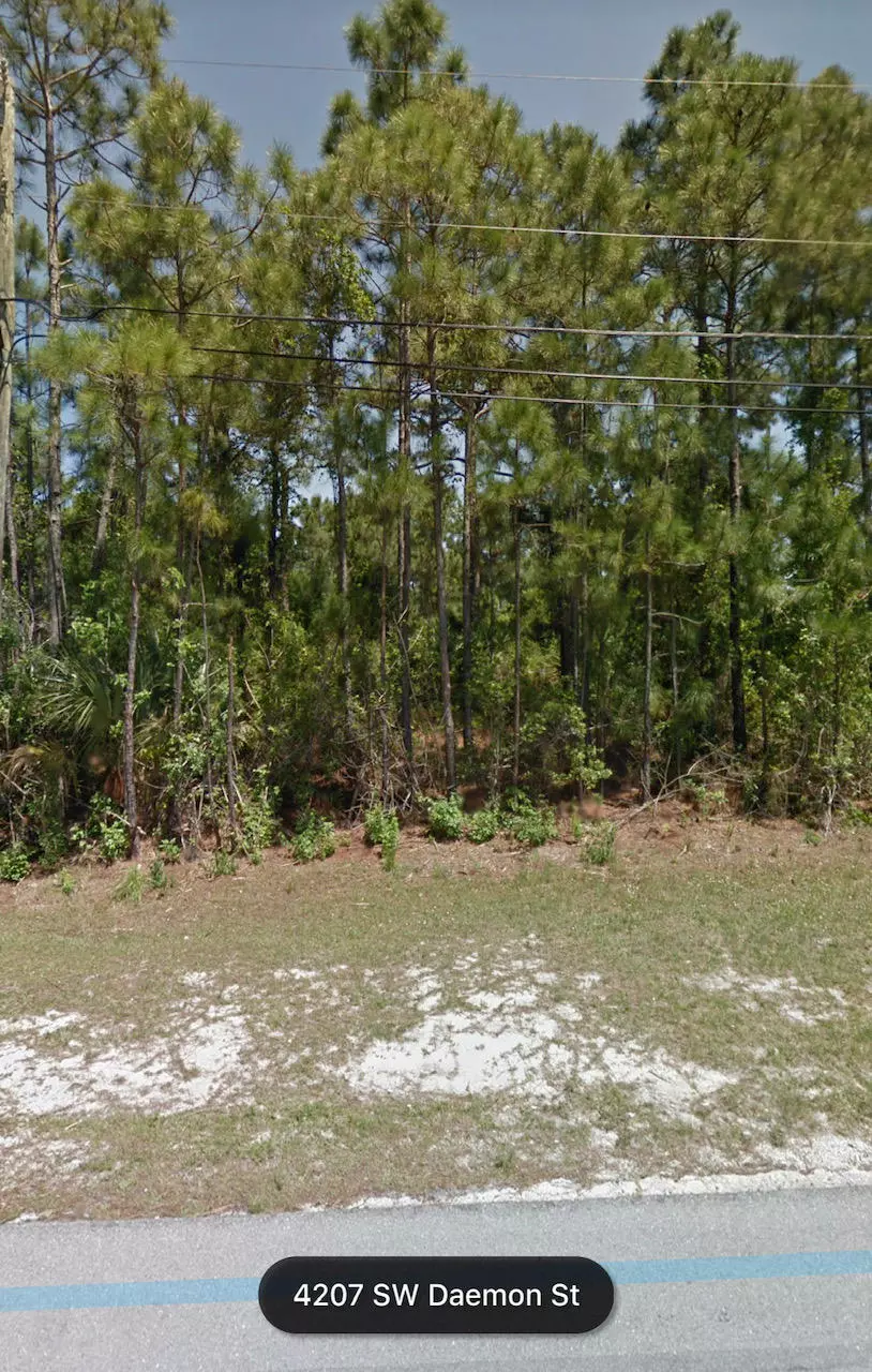 Port Saint Lucie, FL 34953,4207 SW Daemon ST