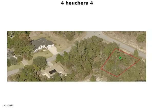Homosassa, FL 34446,4 E Heuchera CT