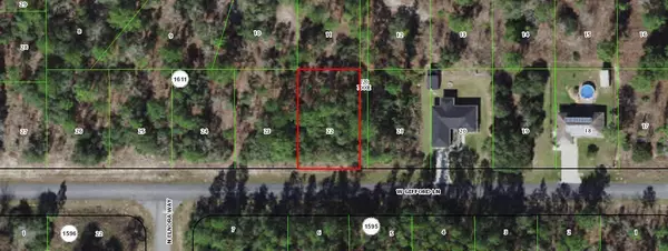 2711 W Gifford LN, Citrus Springs, FL 34433