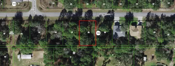 2822 W Eunice DR, Citrus Springs, FL 34433