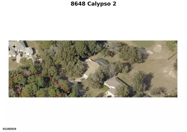 Citrus Springs, FL 34434,8648 N Calypso CIR