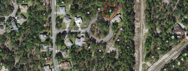 Homosassa, FL 34446,10 S Hackberry CT